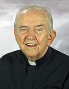 Vice Director Regional