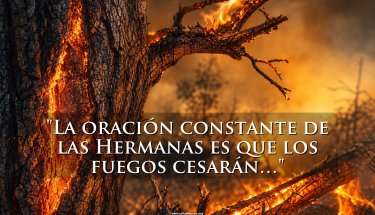 Incendios Forestales: Un desastre causado por los hombres