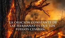 Incendios Forestales: Un desastre causado por los hombres