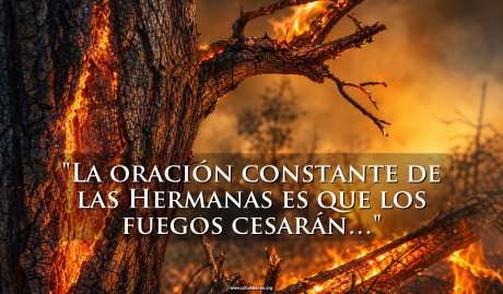 Incendios Forestales: Un desastre causado por los hombres