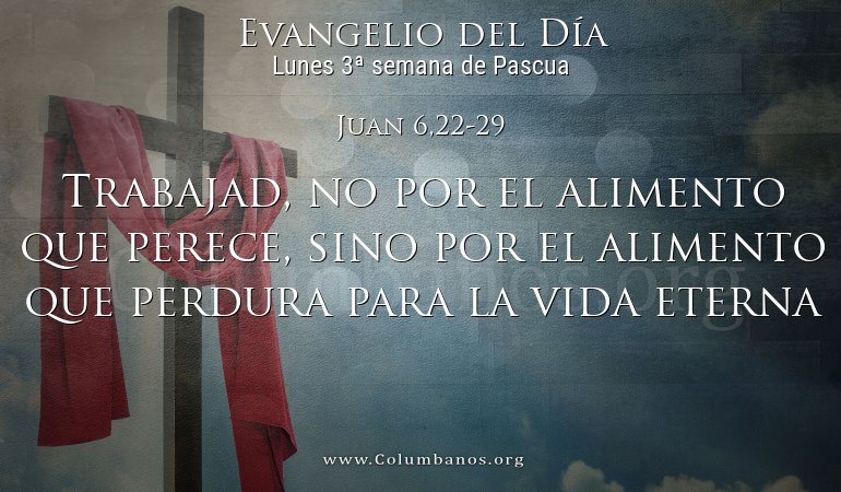 Juan 6,22-29