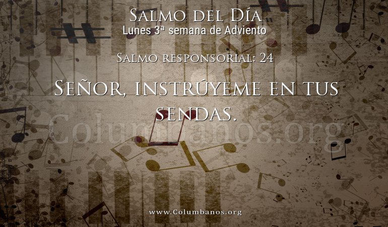 Salmo responsorial: 24 Salmo responsorial: 24