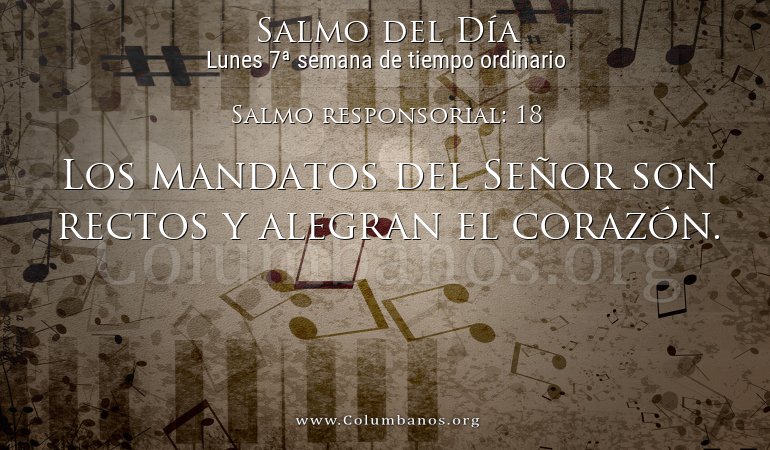 Salmo responsorial: 18 Salmo responsorial: 18