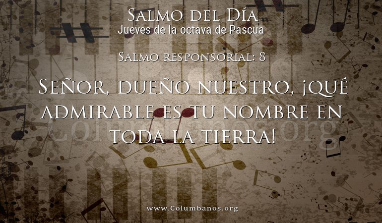 Salmo responsorial: 8
