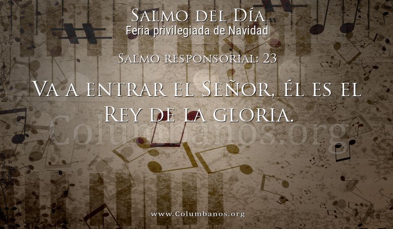 Salmo responsorial: 23 Salmo responsorial: 23