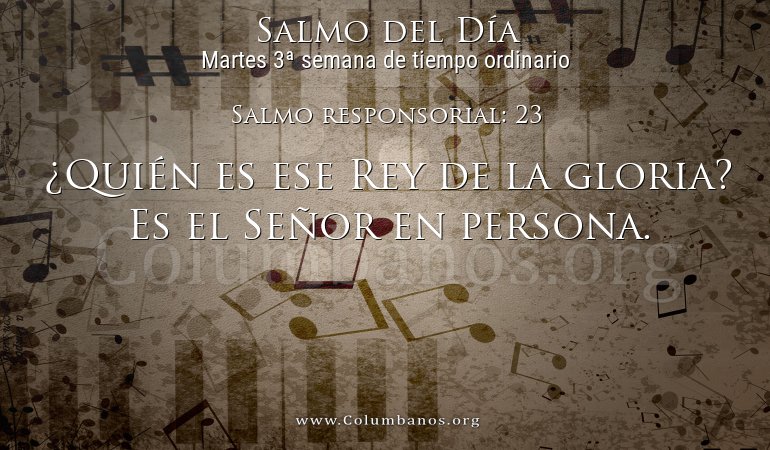 Salmo responsorial: 23