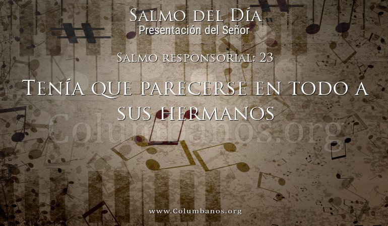 Salmo responsorial: 23