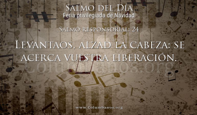 Salmo responsorial: 24 Salmo responsorial: 24