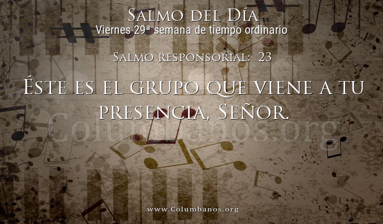 Salmo responsorial:  23