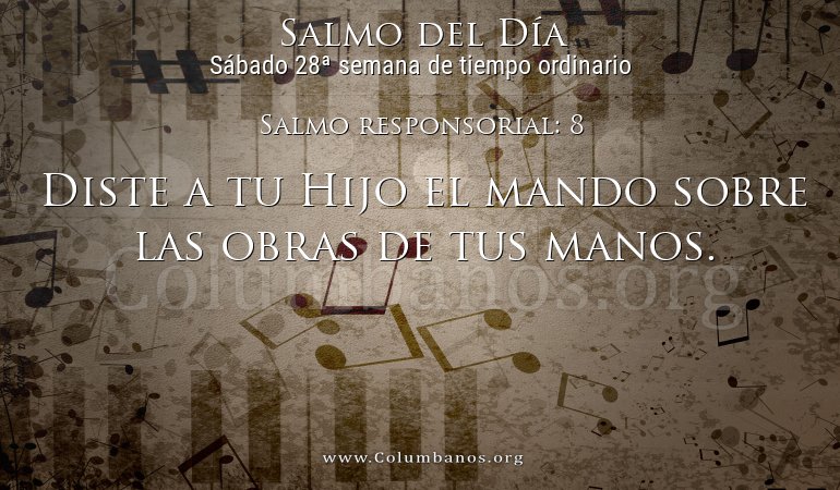 Salmo responsorial: 8 Salmo responsorial: 8