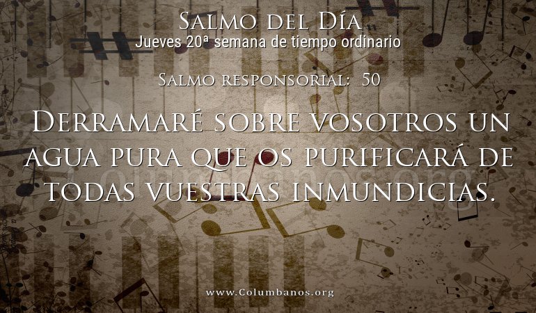 Salmo responsorial:  50