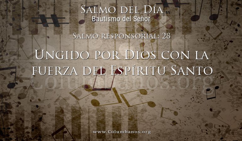 Salmo responsorial: 28 Salmo responsorial: 28